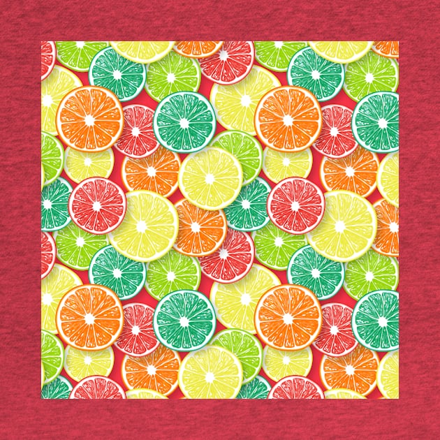 Citrus fruit slices pop art 1 by katerinamk